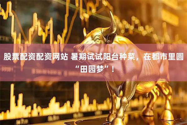 股票配资配资网站 暑期试试阳台种菜，在都市里圆“田园梦”！
