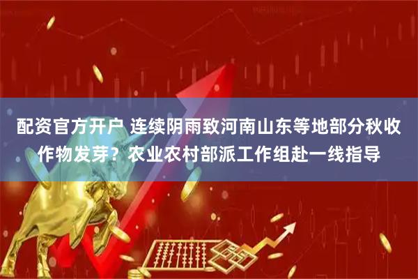 配资官方开户 连续阴雨致河南山东等地部分秋收作物发芽？农业农村部派工作组赴一线指导
