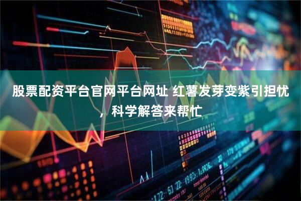 股票配资平台官网平台网址 红薯发芽变紫引担忧，科学解答来帮忙